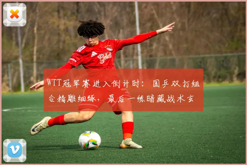 WTT冠军赛进入倒计时:国乒双打组合精雕细琢,最后一练暗藏战术玄机 - 彩客网推荐