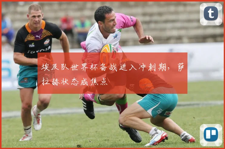 埃及队世界杯备战进入冲刺期,萨拉赫状态成焦点 - 彩客网推荐