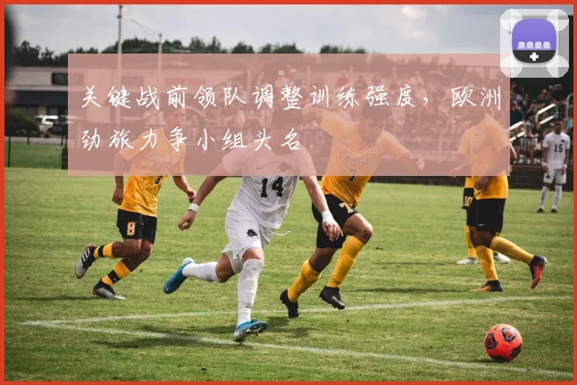 关键战前领队调整训练强度,欧洲劲旅力争小组头名 - 彩客网推荐